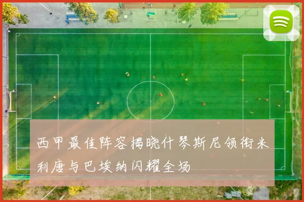 西甲最佳阵容揭晓什琴斯尼领衔米利唐与巴埃纳闪耀全场