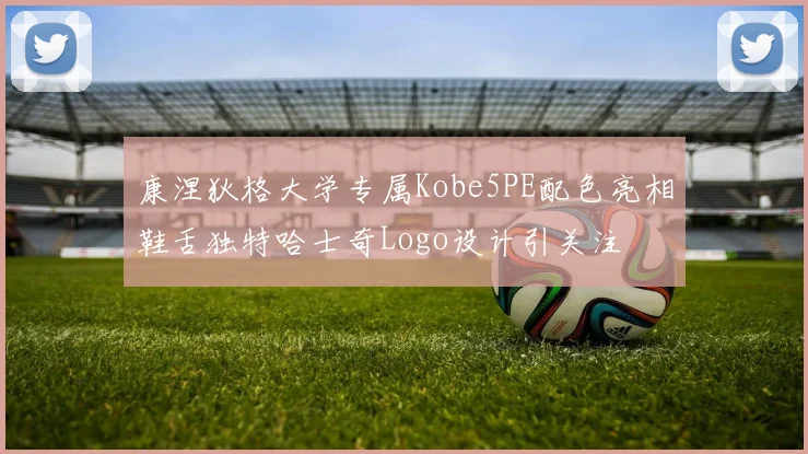 康涅狄格大学专属Kobe5PE配色亮相鞋舌独特哈士奇Logo设计引关注