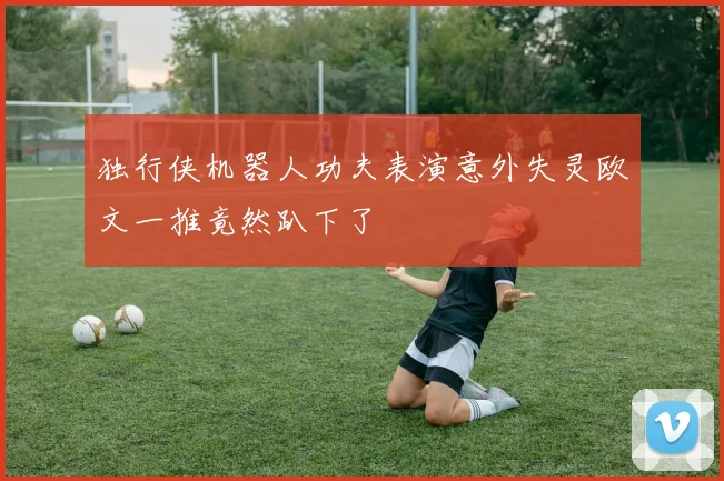 独行侠机器人功夫表演意外失灵欧文一推竟然趴下了