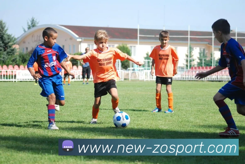 中欧足球官网平台生态图