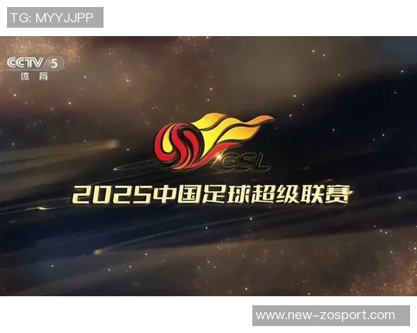 2025赛季中超球队门票收入创新高多家俱乐部净赚超千万